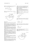 CYCLODEXTRIN-BASED POLYMERS FOR THERAPEUTIC DELIVERY diagram and image