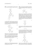 PROCESS OF MAKING GYRASE AND TOPOISOMERASE INHIBITORS diagram and image