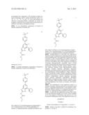 PROCESS OF MAKING GYRASE AND TOPOISOMERASE INHIBITORS diagram and image