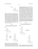 PROCESS OF MAKING GYRASE AND TOPOISOMERASE INHIBITORS diagram and image