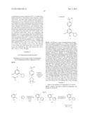 PROCESS OF MAKING GYRASE AND TOPOISOMERASE INHIBITORS diagram and image