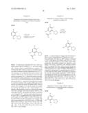 PROCESS OF MAKING GYRASE AND TOPOISOMERASE INHIBITORS diagram and image