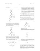 PROCESS OF MAKING GYRASE AND TOPOISOMERASE INHIBITORS diagram and image