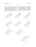 METHODS FOR PREPARING SYNTHETIC BILE ACIDS AND COMPOSITIONS COMPRISING THE     SAME diagram and image