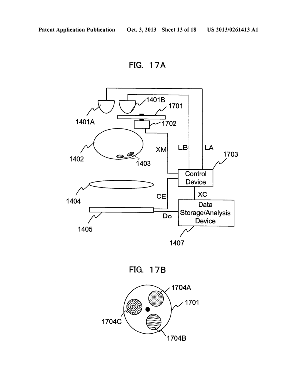 EQUIPMENT FOR IN VIVO DATA ACQUISITION AND ANALYSIS - diagram, schematic, and image 14