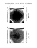 Global Landmark Method For Critical Dimension Uniformity Reconstruction diagram and image