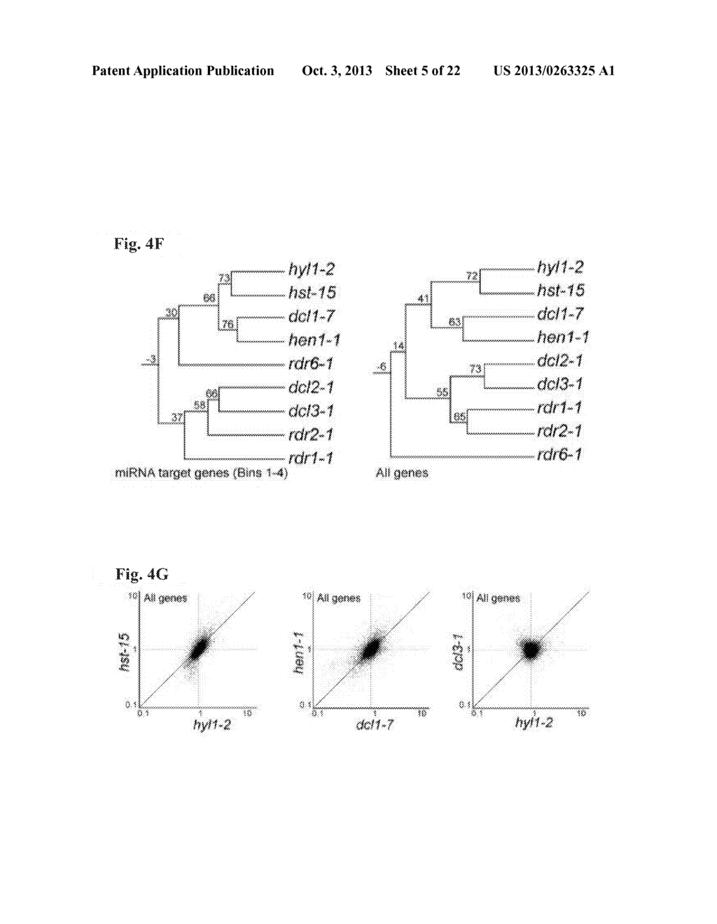 METHOD TO TRIGGER RNA INTERFERENCE - diagram, schematic, and image 06