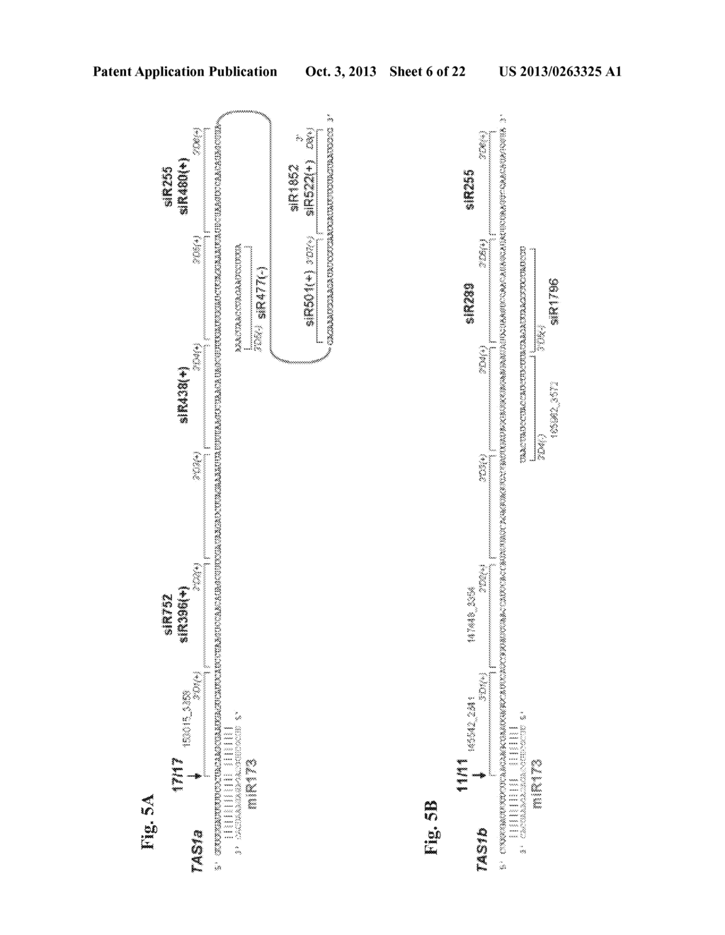 METHOD TO TRIGGER RNA INTERFERENCE - diagram, schematic, and image 07