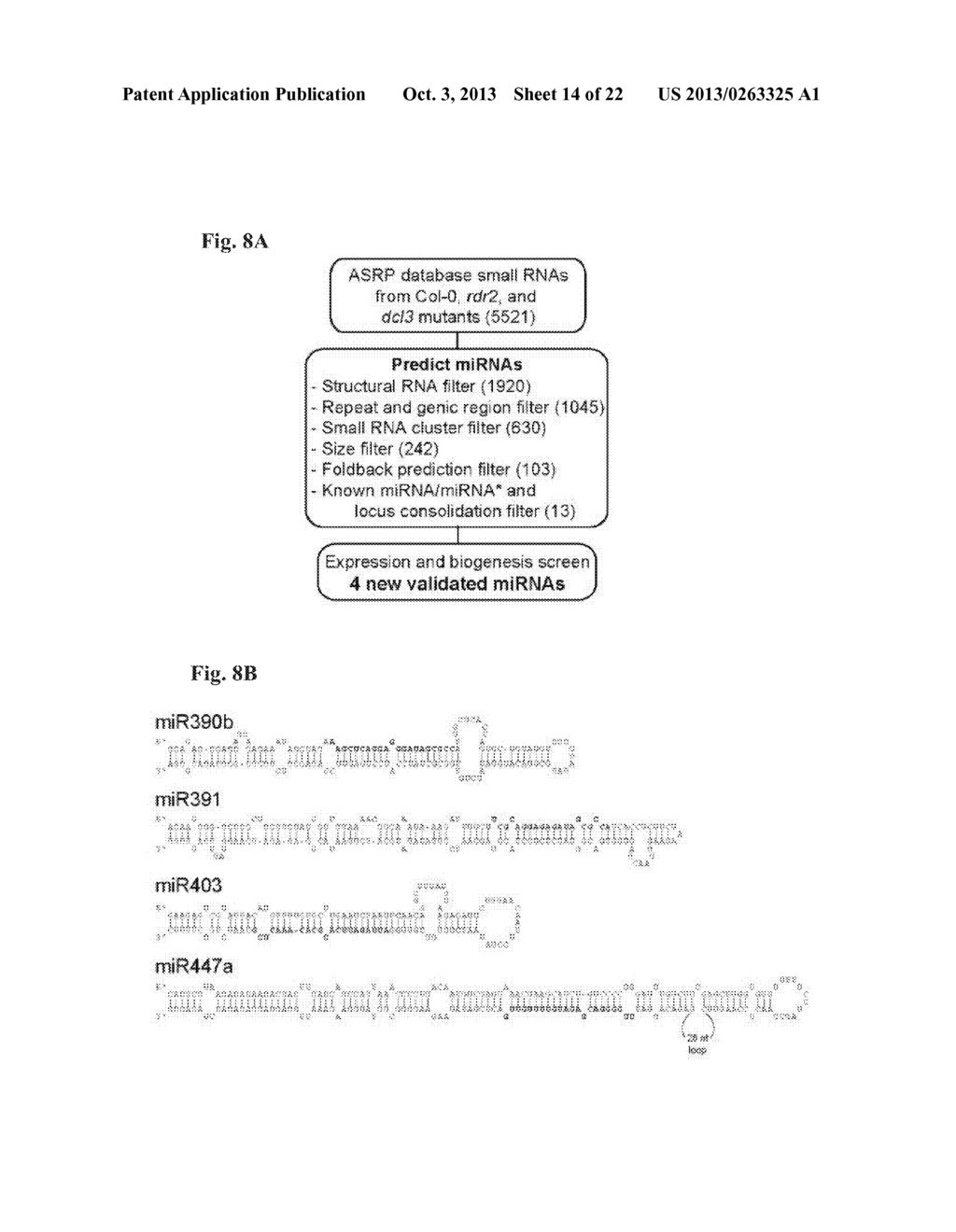 METHOD TO TRIGGER RNA INTERFERENCE - diagram, schematic, and image 15