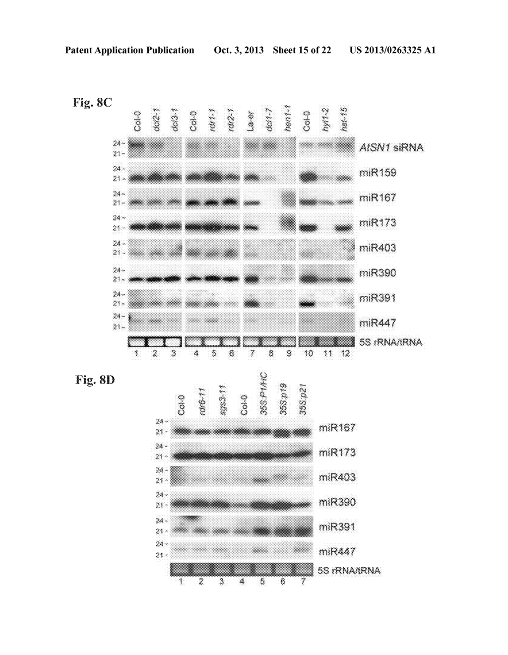 METHOD TO TRIGGER RNA INTERFERENCE - diagram, schematic, and image 16