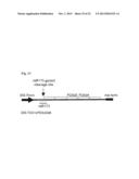 METHOD TO TRIGGER RNA INTERFERENCE diagram and image