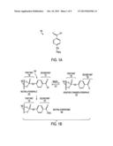 FUNCTIONALLY SWITCHABLE SELF-ASSEMBLED COATING COMPOUND FOR CONTROLLING     TRANSLOCATION OF MOLECULE THROUGH NANOPORES diagram and image