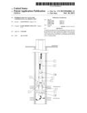 HYBRID FLUID LIFT VALVE FOR COMMINGLING GAS PRODUCTION diagram and image