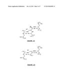 BIODEGRADABLE FIRE-FIGHTING FORMULATION diagram and image