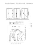 VEHICLE FLOORING SYSTEM diagram and image