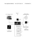 System for DNA Identification Hiding Personal Traits diagram and image