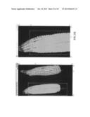 METHOD AND SYSTEM FOR DIGITAL IMAGE ANALYSIS OF EAR TRAITS diagram and image