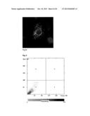 METHOD FOR COATING AND FUNCTIONALIZING NANOPARTICLES BY MEANS OF A MICHAEL     REACTION diagram and image