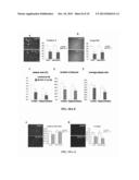 Method of Providing Disease-Specific Binding Molecules and Targets diagram and image