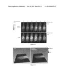 Specific Ligand for Annexin 2 diagram and image