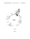 MOESIN MODULATORS AND USES THEREOF diagram and image