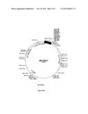 MOESIN MODULATORS AND USES THEREOF diagram and image