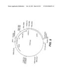 Albumin Fusion Proteins diagram and image