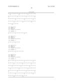 ANTI-MHC ANTIBODY ANTI VIRAL CYTOKINE FUSION PROTEIN diagram and image