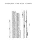 ANTIBODY SPECIFICALLY BINDING SYNOVIAL MICROVASCULATURE OF ARTHRITIS     PATIENTS diagram and image