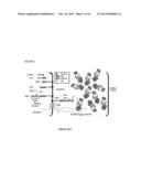 PEPTIDE CONTAINING MULTIPLE N-LINKED GLYCOSYLATION SEQUONS diagram and image