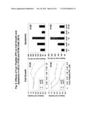 BIOACTIVE FUS1 PEPTIDES AND NANOPARTICLE-POLYPEPTIDE COMPLEXES diagram and image