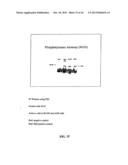 BIOACTIVE FUS1 PEPTIDES AND NANOPARTICLE-POLYPEPTIDE COMPLEXES diagram and image