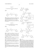 COMESTIBLE COMPOSITIONS COMPRISING HIGH POTENCY SAVORY FLAVORANTS, AND     PROCESSES FOR PRODUCING THEM diagram and image