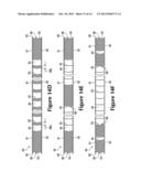 Spacer Textile Materials And Methods For Manufacturing The Spacer Textile     Materials diagram and image