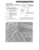 ELECTRODE FOR Li SECONDARY BATTERY, METHOD FOR PRODUCING THE SAME AND Li     SECONDARY BATTERY diagram and image