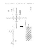 ELECTRODE SEPARATOR diagram and image