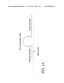 Format of Probes to Detect Nucleic Acid Differences diagram and image