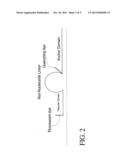 Format of Probes to Detect Nucleic Acid Differences diagram and image