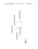 Format of Probes to Detect Nucleic Acid Differences diagram and image