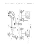 Methods of Detecting Kidney-Associated Diseases or Conditions diagram and image