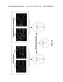 Methods of Detecting Kidney-Associated Diseases or Conditions diagram and image