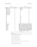 SEQUENCES FOR DETECTION AND IDENTIFICATION OF METHICILLIN-RESISTANT     STAPHYLOCOCCUS AUREUS (MRSA) OF MREJ TYPE XXI diagram and image