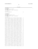 SEQUENCES FOR DETECTION AND IDENTIFICATION OF METHICILLIN-RESISTANT     STAPHYLOCOCCUS AUREUS (MRSA) OF MREJ TYPE XXI diagram and image