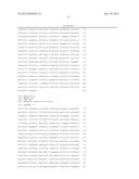 SEQUENCES FOR DETECTION AND IDENTIFICATION OF METHICILLIN-RESISTANT     STAPHYLOCOCCUS AUREUS (MRSA) OF MREJ TYPE XXI diagram and image