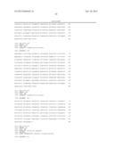 SEQUENCES FOR DETECTION AND IDENTIFICATION OF METHICILLIN-RESISTANT     STAPHYLOCOCCUS AUREUS (MRSA) OF MREJ TYPE XXI diagram and image