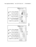 DETECTION OF INFLUENZA VIRUS diagram and image