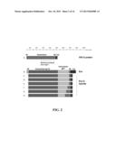 METHODS TO IMPROVE VECTOR EXPRESSION AND GENETIC STABILITY diagram and image