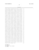 METHODS TO IMPROVE VECTOR EXPRESSION AND GENETIC STABILITY diagram and image