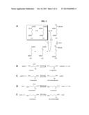 NOVEL OXIDOREDUCTASES FOR ENANTIOSELECTIVE REACTIONS diagram and image