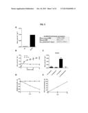 NOVEL OXIDOREDUCTASES FOR ENANTIOSELECTIVE REACTIONS diagram and image